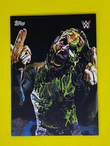 Jeff Hardy WWE Undisputed 2019 Rob Shamberger Art Wrestling Insert Card RS-2 - Picture 1 of 1