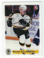 Peter Nordstrom 1998-99 Providence Bruins (AHL) 