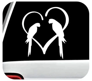 Calcomanía Corazón Loro para Coche | Pegatina Guacamayo | Love My Parrots | BG2048 - Imagen 1 de 4