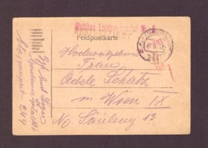 Correo de campaña 1. WK Etappenpost 244 "desinfectado" a Austria / Viena 1917 - Imagen 1 de 2