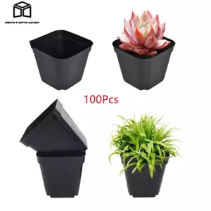 4" Square Plastic Seedling Pots Nursery Seeds Starting Plants Cuttings 100 PACK - Picture 1 of 11