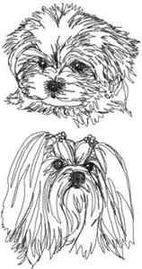 Suéter con capucha personalizado de raza de perro maltés bordado hermoso - Imagen 1 de 2