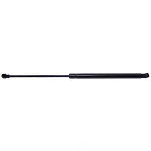 Hatch Lift Support Strong Arm 6367 fits 99-04 Audi A6 Quattro