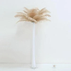 12 pcs 13-15" long Beige Genuine Ostrich FEATHERS Wedding Party Centerpieces - Picture 1 of 8