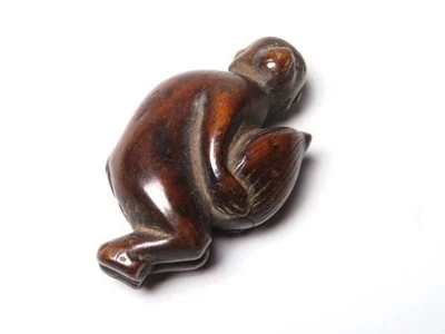 Ancien singe japonais Netsuke tenant un Edo châtaignier (1603-1868) du Japon - Photo 1/4