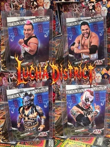 Tarjetas coleccionables Lucha libre AAA - Imagen 1 de 44