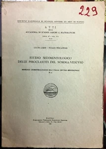 (Geologia) STUDIO SEDIMENTOLOGICO DELLE PIROCLASTITI DEL SOMMA-VESUVIO - Napoli - Imagen 1 de 1