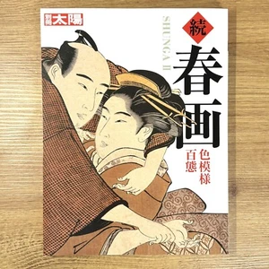 Shunga ii hundert farbige Muster 200 Seiten großes Buch 2008 japanischer Shunga - Bild 1 von 4