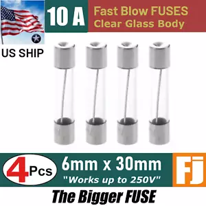 4 pz fusibili in vetro Fast-Blow 10 A 250 V 6 x 30 mm (10 amp) | spedizione USA - Foto 1 di 4