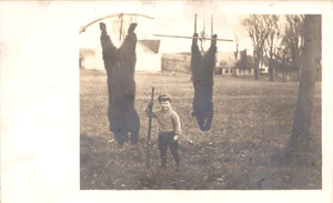 VTG 1915  RPPC VERY YOUNG BOY W/  HUNTING RIFLE TWO BLACK BEAR HANG DISPLAY - Picture 1 of 2