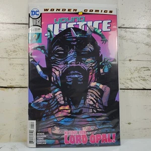 DC Comics Young Justice #4 2019 Justice League fumetto moderno smanicato - Foto 1 di 14