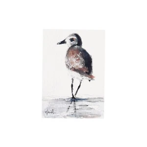 ACEO ATC Watercolor Art Print Signed Free Shipping Sea Coastal Nature Bird Birds - Picture 1 of 3