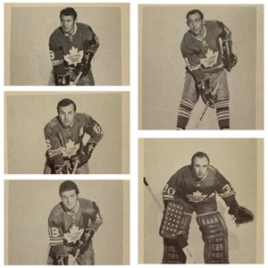 1970-71 Toronto Maple Leafs Team Issue Photo/Postcard - Picture 1 of 9