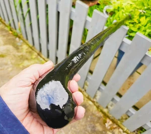 Traditional Blackthorn Walking Stick Cane with Glossy Knob Handle. Handmade Cane - Picture 1 of 5