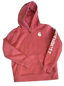 Carhartt Hoodie Sweatshirt Clarksburg Coral Graphic Pullover Women S 102791-R34 - Picture 1 of 15