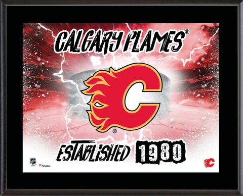 Calgary Flames 10.5x13 Horizontal Team Logo Plaque Authentic Cover