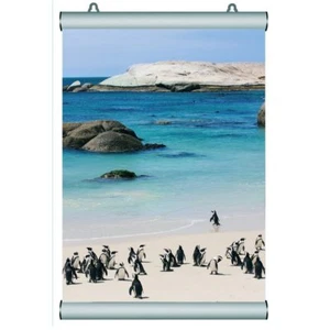 COPPIA PROFILI PORTAPOSTER A SCATTO 50 cm - Foto 1 di 3