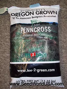 Semilla Penncross Bentgrass 25 libras - plantas 1 acre (certificado) - Imagen 1 de 1