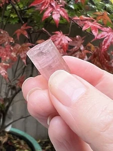 Pink Tourmaline Rod Terminated Fine Specimen Gemmy AAA+ 24 - Picture 1 of 10