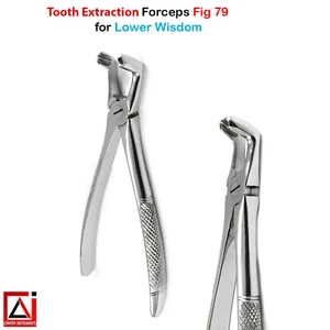 Tooth Loosening Extraction Forceps Lower Molar Pliers Laboratory Instruments New - Picture 1 of 5