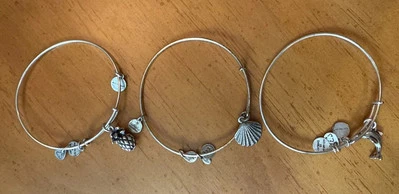 Alex And Ani 3 Pack Of Bracelets- Pineapple, Shell, Dolphin  - Изображение 1 из 4