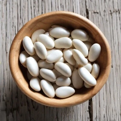 Bulk Lima Bean Seeds 100+ Baby Butter Beans Green Fava Vegetable Seed Henderson - Image 1 of 4