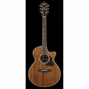 Ibanez AE245-NT - Western Guitar with Pickup - Picture 1 of 1