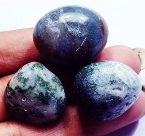 Loose Gemstone Natural Tree Agate Tumble 181.05 Ct 3 Pieces Lot - Picture 1 of 6