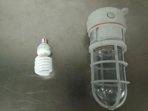 Larson Class 1 Division 2 Chemical Resistant Fluorescent Light - 26 Watts - Picture 1 of 3