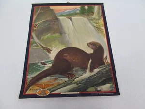 Maas & Steffen Pelzhaus Antik Kalender Top Werbung Falle 1942 Otter - Bild 1 von 4