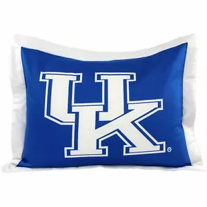 Silla de almohada Kentucky Wildcats - Imagen 1 de 3