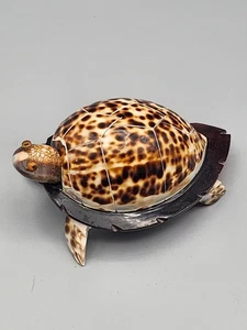 Figura Tortuga - Conchas Marinas. Filipinas - Imagen 1 de 8