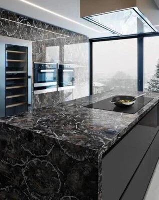 Black Petrified Kitchen Counter top, Coffee counter top, Bar Counter top Slabs - Image 1 of 4