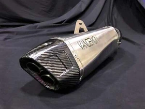 Kawasaki H2 SE SX Vandemon Titanium Slip-On Muffler 2018-25 - Bild 1 von 6