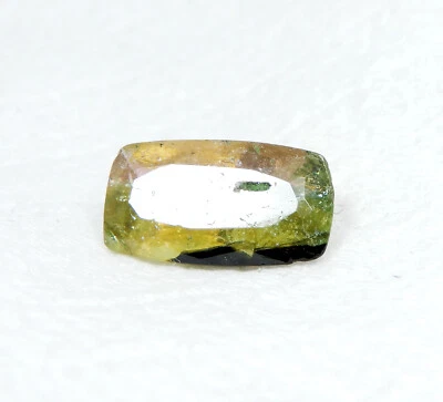 天然EGL认证辐射切割多色碧玺散装宝石2.60克拉R563 — 第 1/4 张图片