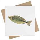 'Lake Kutubu Rainbowfish' Greeting Cards (GC041853)