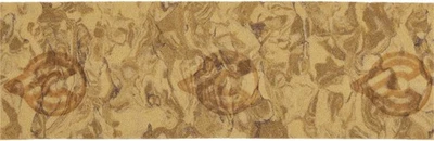 Cinelli Gel Ribbon Bar Tape - Natural Cork - Image 1 of 3