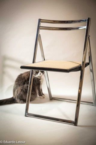 Italian folding chairs circa 1960 Cover