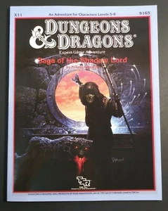 X11 Saga of the Shadow Lord - Dungeons & Dragons  - Bild 1 von 12