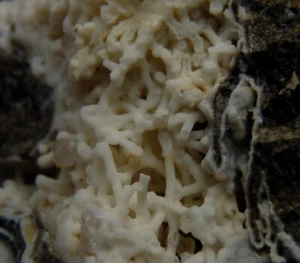 PHILLIPSITE & THOMSONITE ----- REPÚBLICA CHECA - Folknare - Pusty Vrch /pj076 - Imagen 1 de 12