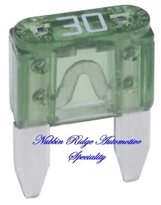 30 Amp Mini Fuse Buss Auto Fuses Container of 5  Cat No. ATM-30 - Imagen 1 de 4