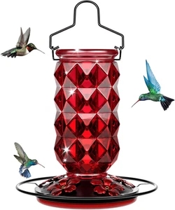 Glass Hummingbird Feeders for Outdoors, 25 Ounces Wild Bird Nectar Feeder with P - Picture 1 of 12