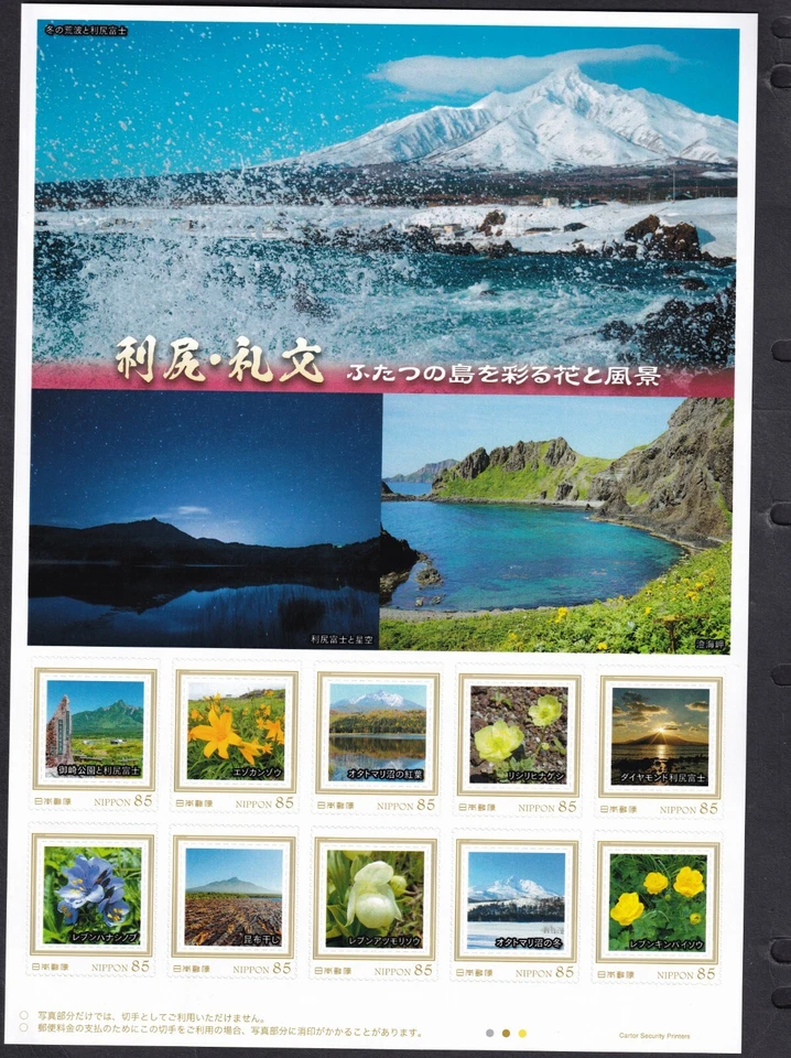 Folha de selo personalizada do Japão, flores Rishiri Rebun orquídea 85y (jps4612) - Imagem 1 de 1