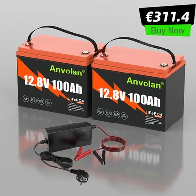 2X 100Ah LiFePO4 Batterie Akku Lithium RV Boot Wohnmobil Heim mit 1x Ladegerät - Bild 1 von 4
