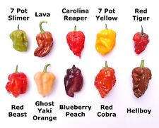 SALE - Worlds HOTTEST Chilli - 55 Seeds - 10 Varieties inc Carolina Reaper
