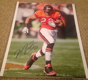 MATT FORTE Autographed Signed Bears 16x20 Photo Hobbs Hobby Hut Hologram/COA - Picture 1 of 1