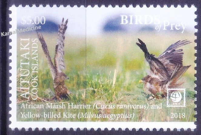 Aitutaki Islas Cook 2018 MNH, African Marsh Harrier, cometa amarilla facturada, aves Foto 1 de 1