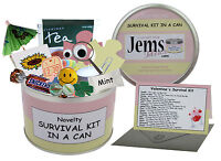 Fun Novelty Gift & Card Alternative Keepsake Spring Cleaning Survival Kit