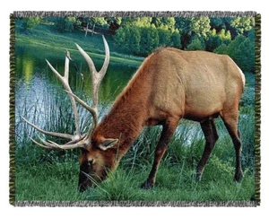 Lone Elk Grazing in the Park Blanket Dude Wildlife Lodge Tapestry Throw Blanket - Picture 1 of 4