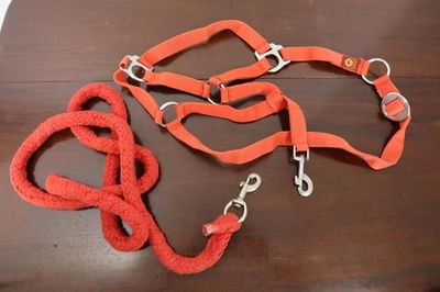 "Loesdau" Halfter mit passendem Führstrick -rot- - Bild 1 von 2